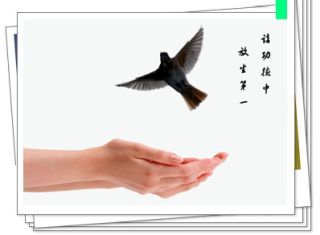 历代高僧：放生可成佛 杀生即杀佛