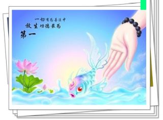 首部动物保护法建议稿完成：虐待动物致死